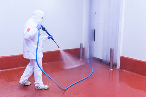 Best Playground Equipment Cleaning  in Ocean Acres, NJ
